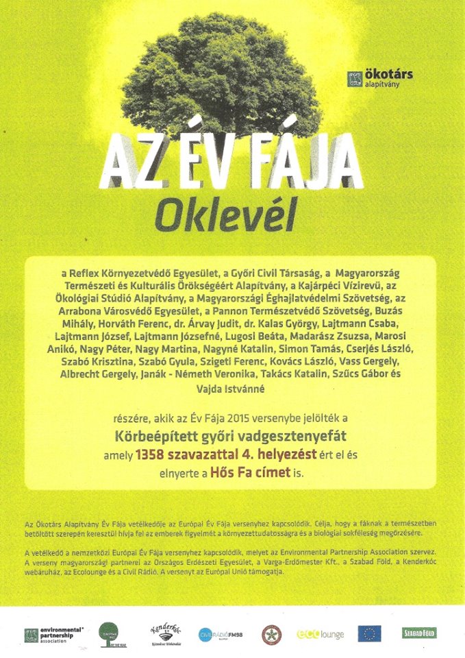hősfaokl